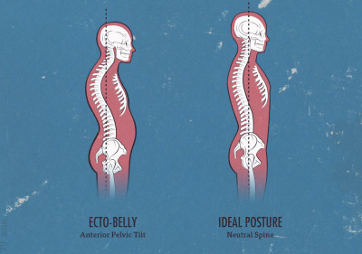 ecto-belly-ectomorph-belly-skinny-fat.jpg