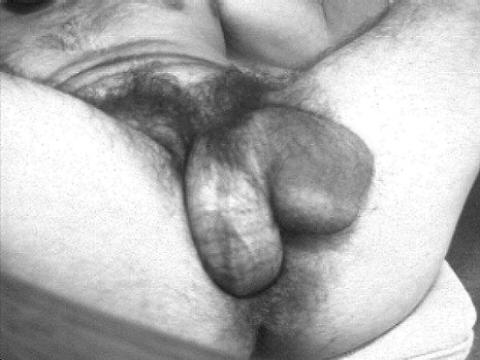 Picture 393.jpg