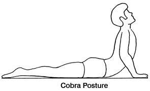 Cobra