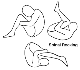 Spinal Roll