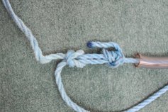 The knot