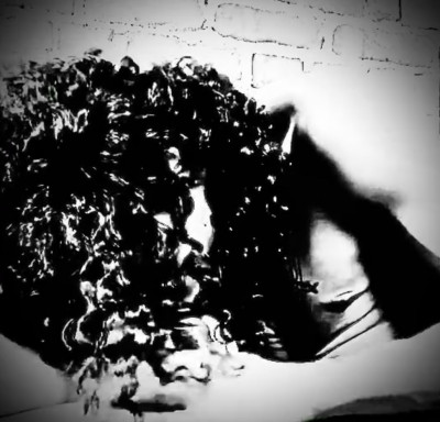 FCB78CB8-D793-42D9-815A-404D063EC146.jpeg