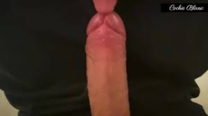 86ABED9D-DC1C-4078-8A05-EAD5565D93F0.jpeg