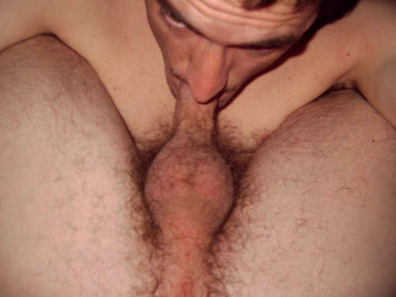 Picture 018b.jpg
