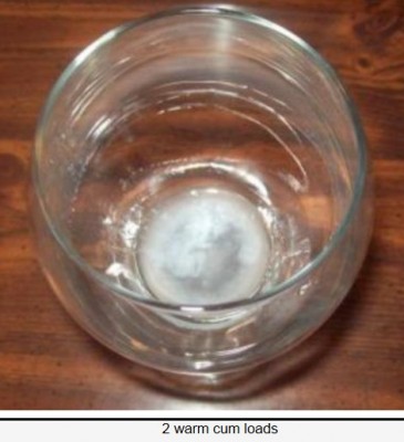 2cl.jpg