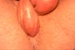 1F83A09F-699F-46D1-AAD5-1A10D7F89AF3.jpeg