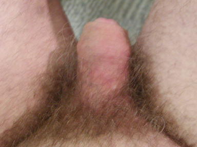 P1260063.jpg