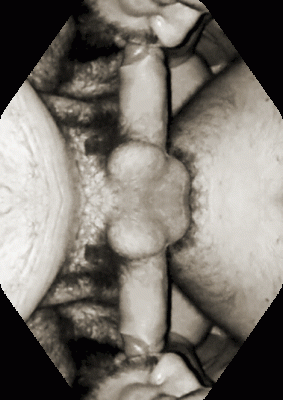 F4E45A14-D941-434C-B443-7CBE5D1840A4.gif