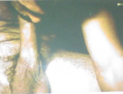 image.jpeg