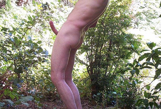 forrest1.jpg